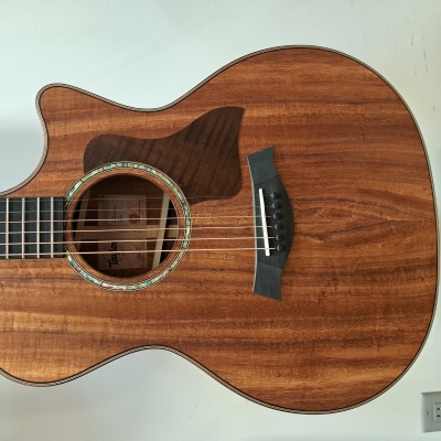 Store Special Product - Taylor Guitars - 724CE